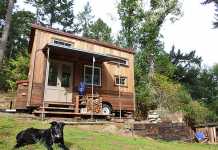 Colin’s Coastal Cabin Colin’s Coastal Cabin