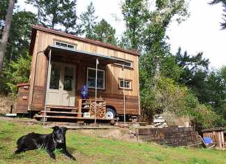 Colin’s Coastal Cabin Colin’s Coastal Cabin
