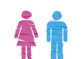 Toilettes sèches – WC