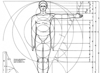 Dimensions et ergonomie Dimensions et ergonomie
