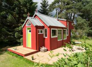 Nesthouse une tiny house colorée NestHouse tiny house