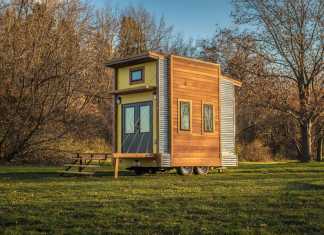 The Centipede The centipede