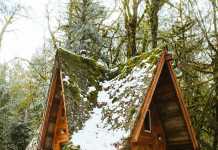 Tiny House A Frame style lostinforest