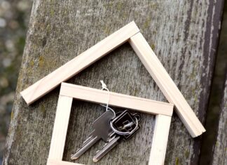 Location d’une Tiny House en France : Les Points Essentiels pour une Expérience Réussie Location d'une Tiny House en France